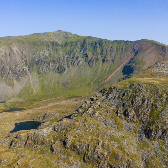 Snowdon ranger