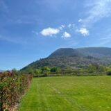 IMG 20240509 WA0017