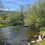 IMG 20240509 WA0026