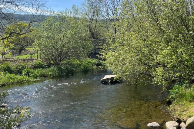 IMG 20240509 WA0026