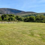 Grass non electric