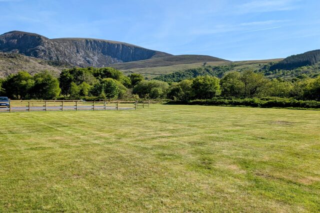 Grass non electric