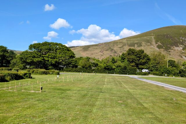 Grass electric 2